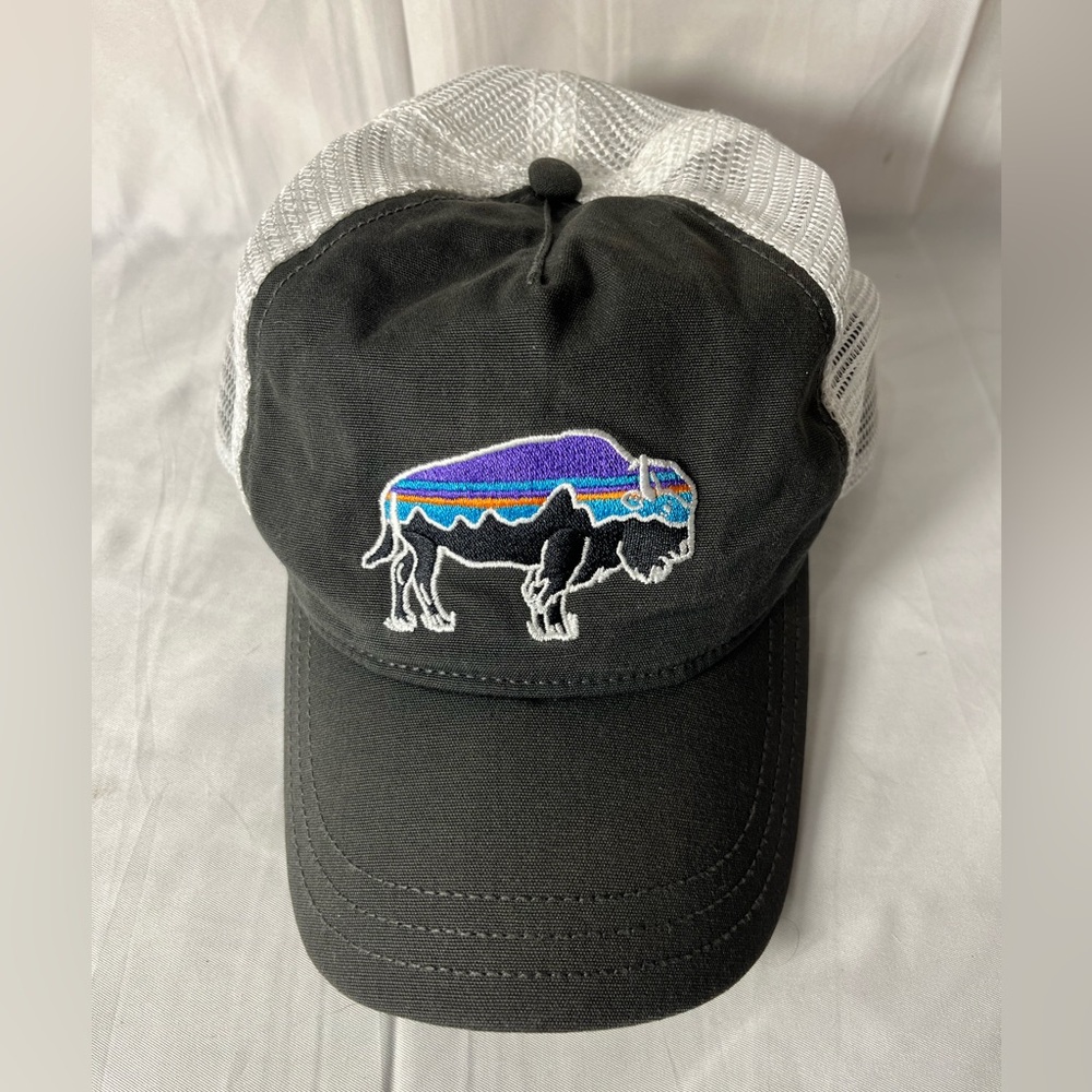 Patagonia Fitz Roy Bison Trucker Hat
